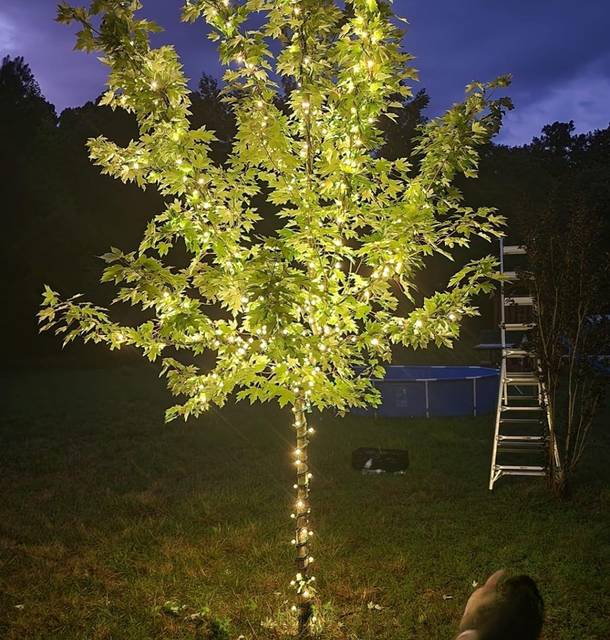 christmas lights installation on a house